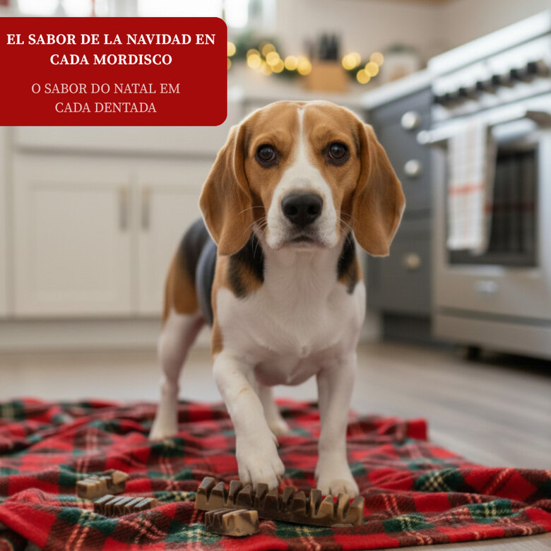 1 barrita Wonder Christmas Doglerone Snack Navideño para perros,  Imagen numero 4 1 barrita Wonder Christmas Doglerone Snack Navideño para perros, , large Imagen numero 4
