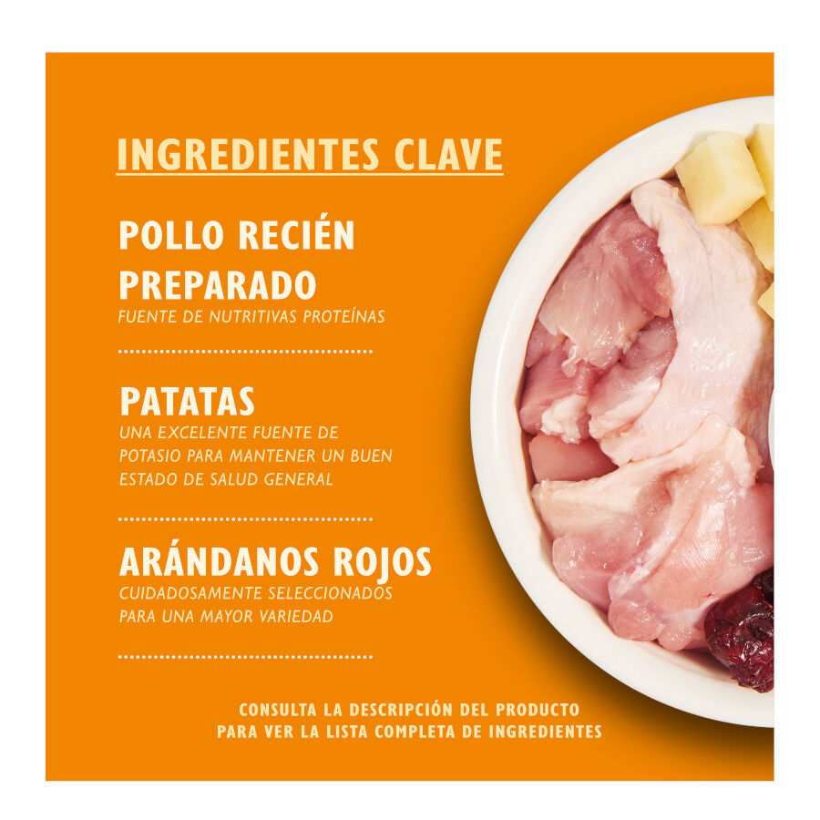 4 kg Lily's Kitchen Grain Free Pollo pienso para gatos, , large Imagen numero 2