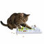 All For Paws Interactives Juguete Puzzle Pescado para gatos, , large indicador imagen numero 4