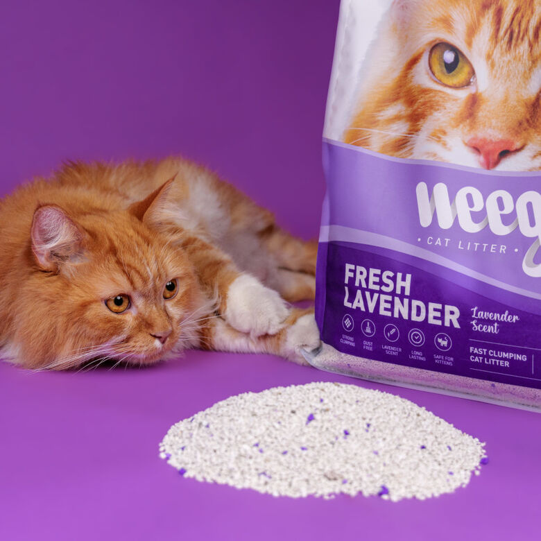Weego Fresh Lavender Arena Aglomerante para gatos thumbnail