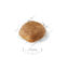 Royal Canin Adult Cavalier King Charles pienso para perros, , large indicador imagen numero 2