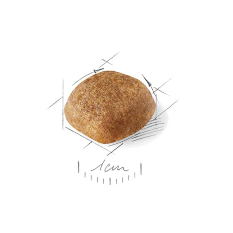 3 kg Royal Canin Adult Cavalier King Charles pienso para perros,  Imagen numero 2 3 kg Royal Canin Adult Cavalier King Charles pienso para perros, , large Imagen numero 2