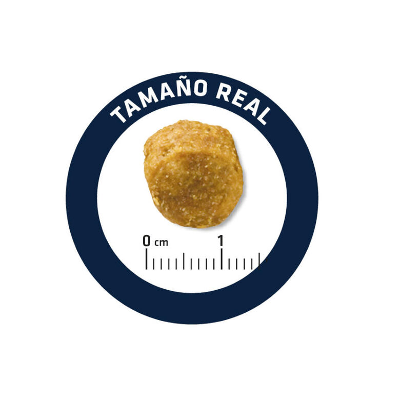 Advance Veterinary Diets Urinary Low Purine pienso para perros thumbnail