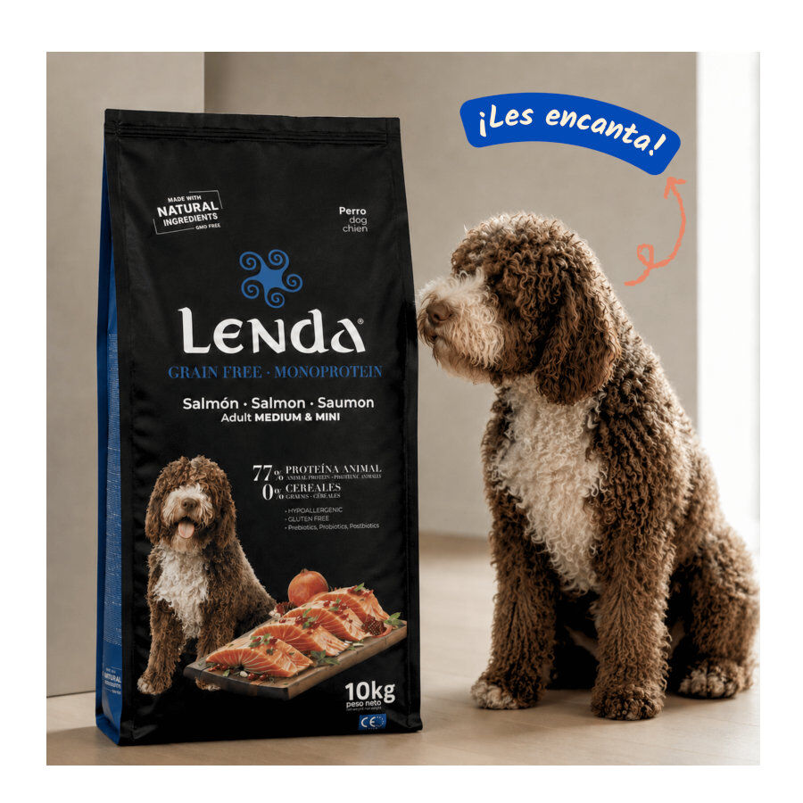 10 kg Lenda Grain Free Salm&oacute;n pienso para perros, , large Imagen numero 3