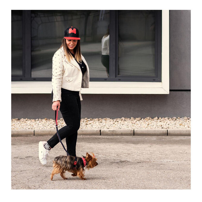 Disney Minnie Mouse Gorra con Visera Plana para humanos,  Imagen numero 2 Disney Minnie Mouse Gorra con Visera Plana para humanos, , large Imagen numero 2