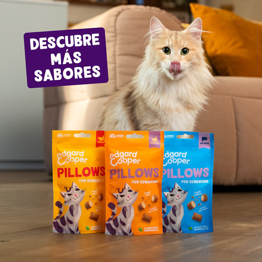 Edgard &amp; Cooper Bocaditos Pillows de salmon para gatos thumbnail