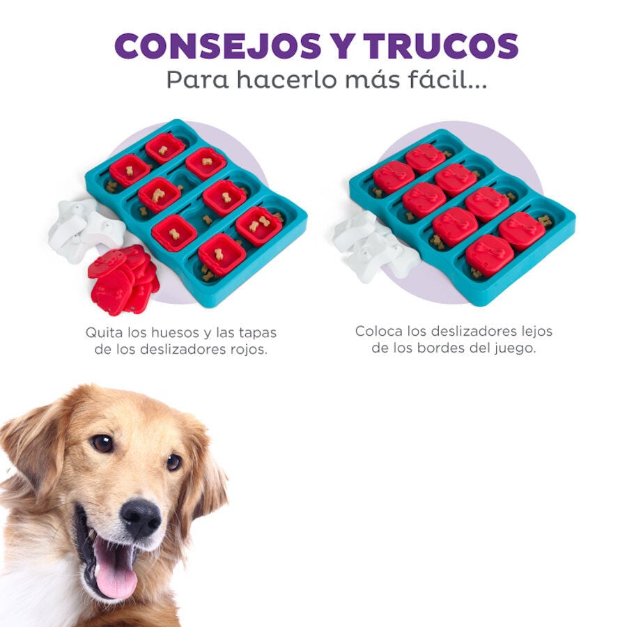Outward Hound Brick Rompecabezas para perros, , large Imagen numero 6