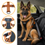 Outech X-perience Arn&eacute;s de Coche para perros, , large indicador imagen numero 3