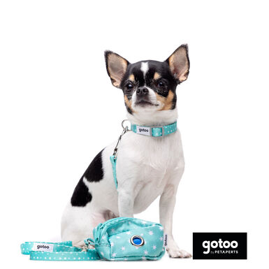 Gotoo Set Correa y Collar estampado con estrellas verde para perros