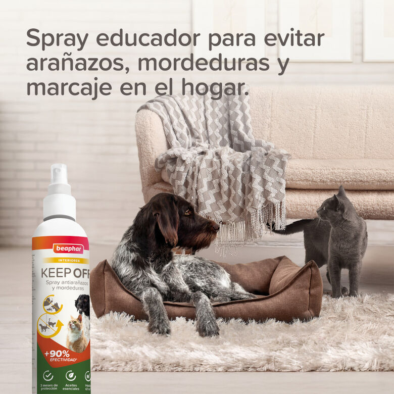 Beaphar Spray Educador  Interiores para Perros y Gatos thumbnail