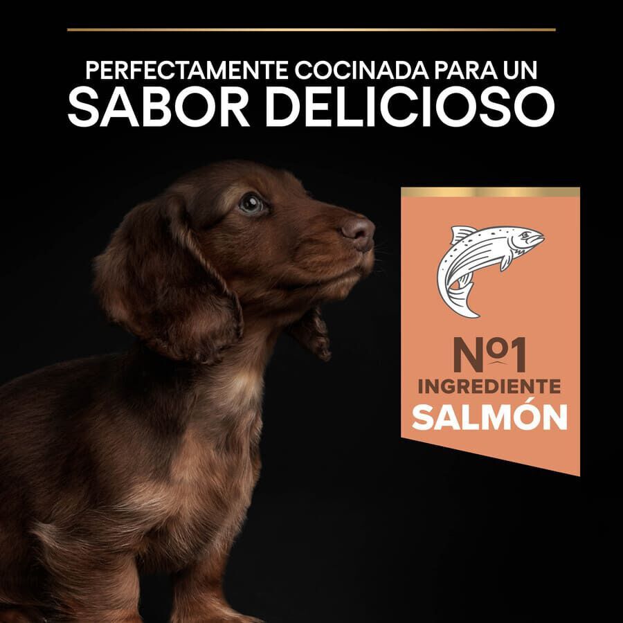 3 kg Pro Plan Puppy Small y Mini Salm&oacute;n pienso para Perros Piel, , large Imagen numero 7