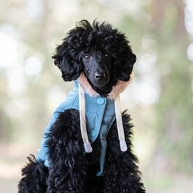 Freedog Abrigo Impermeable Iceguard Azul Marino para perros