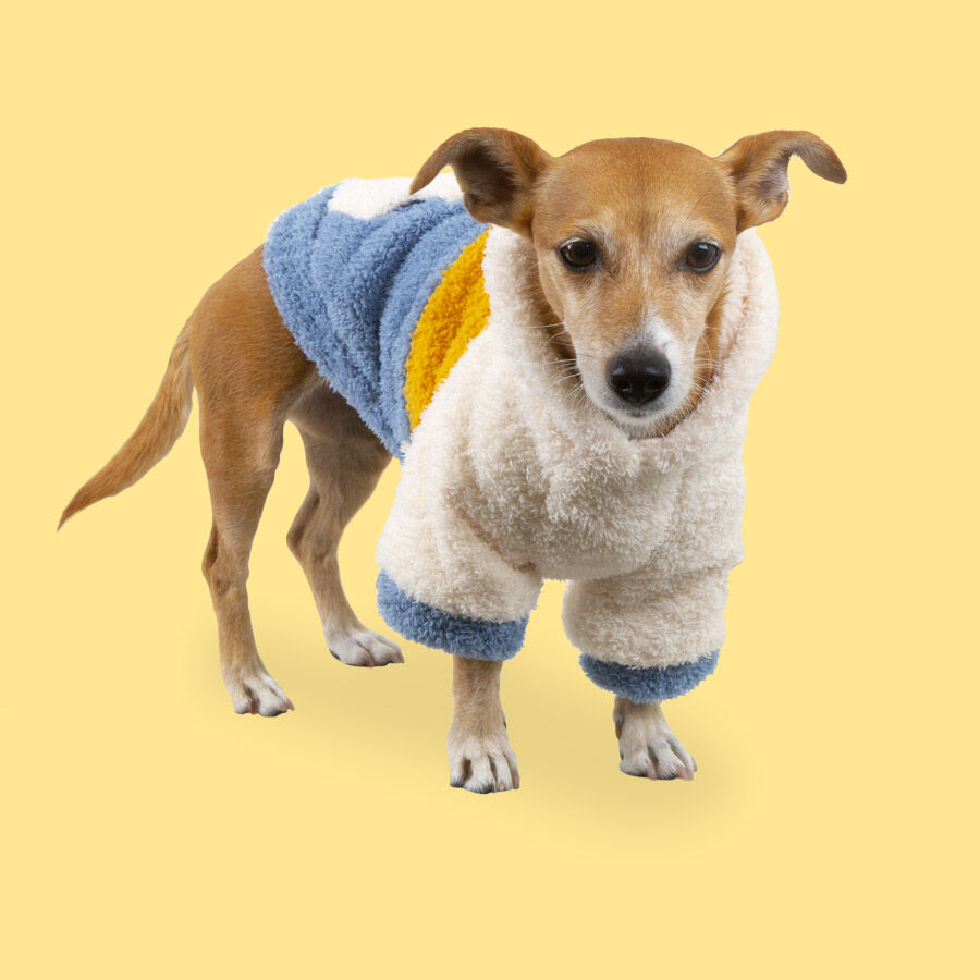 Outech Colorblock Pijama para perros thumbnail