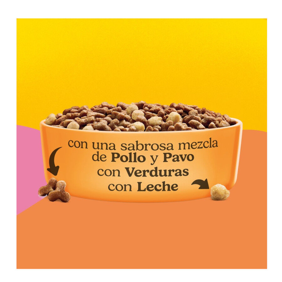 1.5 kg Friskies Junior pienso para gatos , , large Imagen numero 4