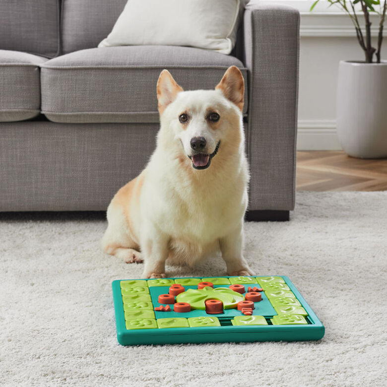 Outward Hound Multi Puzzle de Inteligencia para perros thumbnail