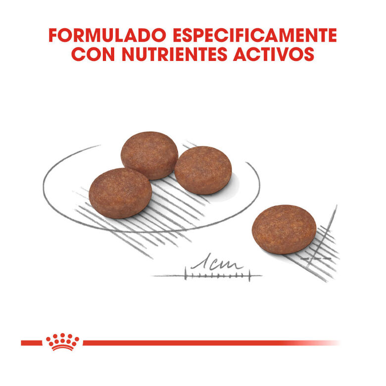 Royal Canin Digestive Care Mini pienso para perros thumbnail