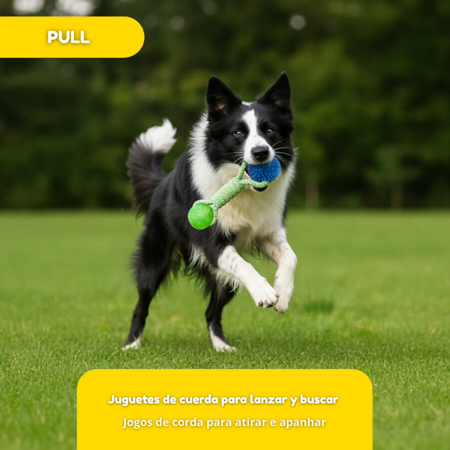 Tootoy! Mordedor de Cuerda con Pelotas de Goma para perros thumbnail