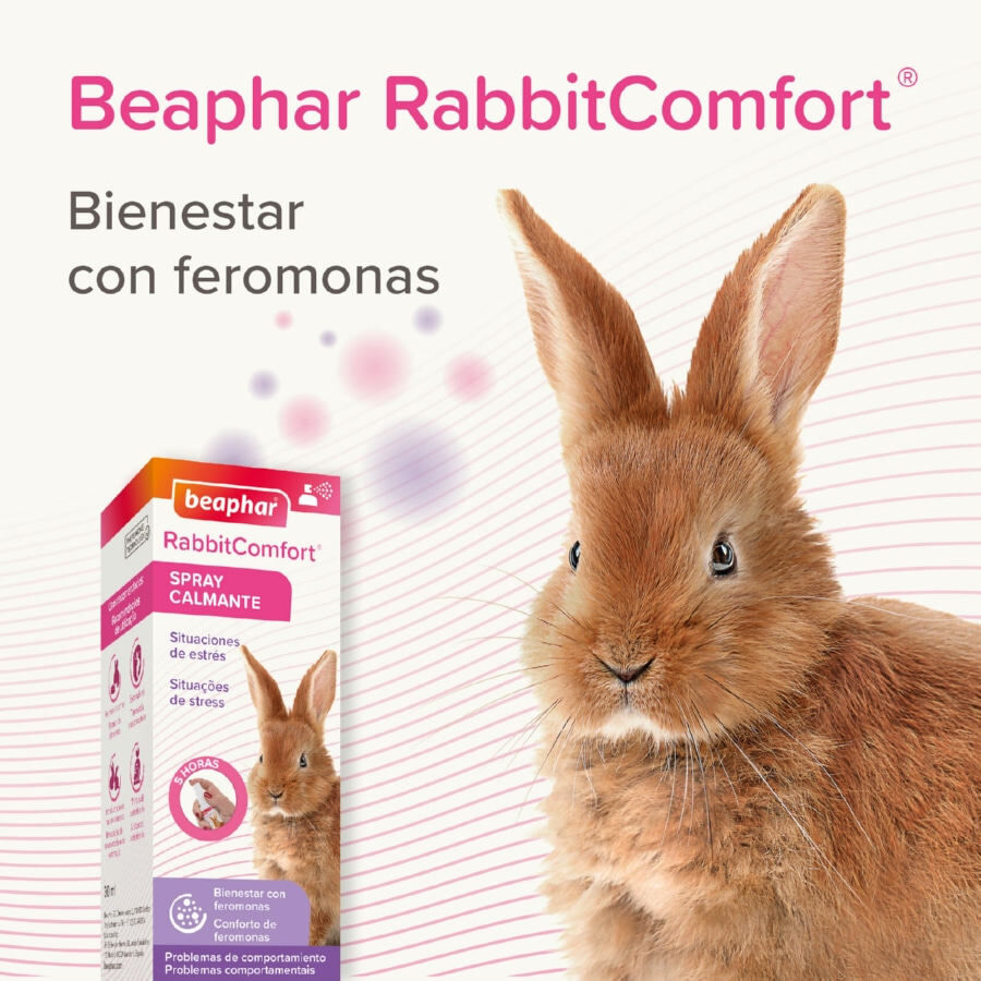 Beaphar RabbitComfort Spray Tranquilizante para conejos, , large Imagen numero 6