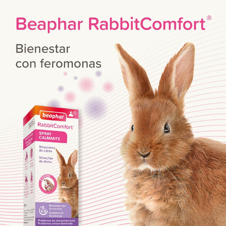 Beaphar RabbitComfort Spray Tranquilizante para conejos, , large image number null