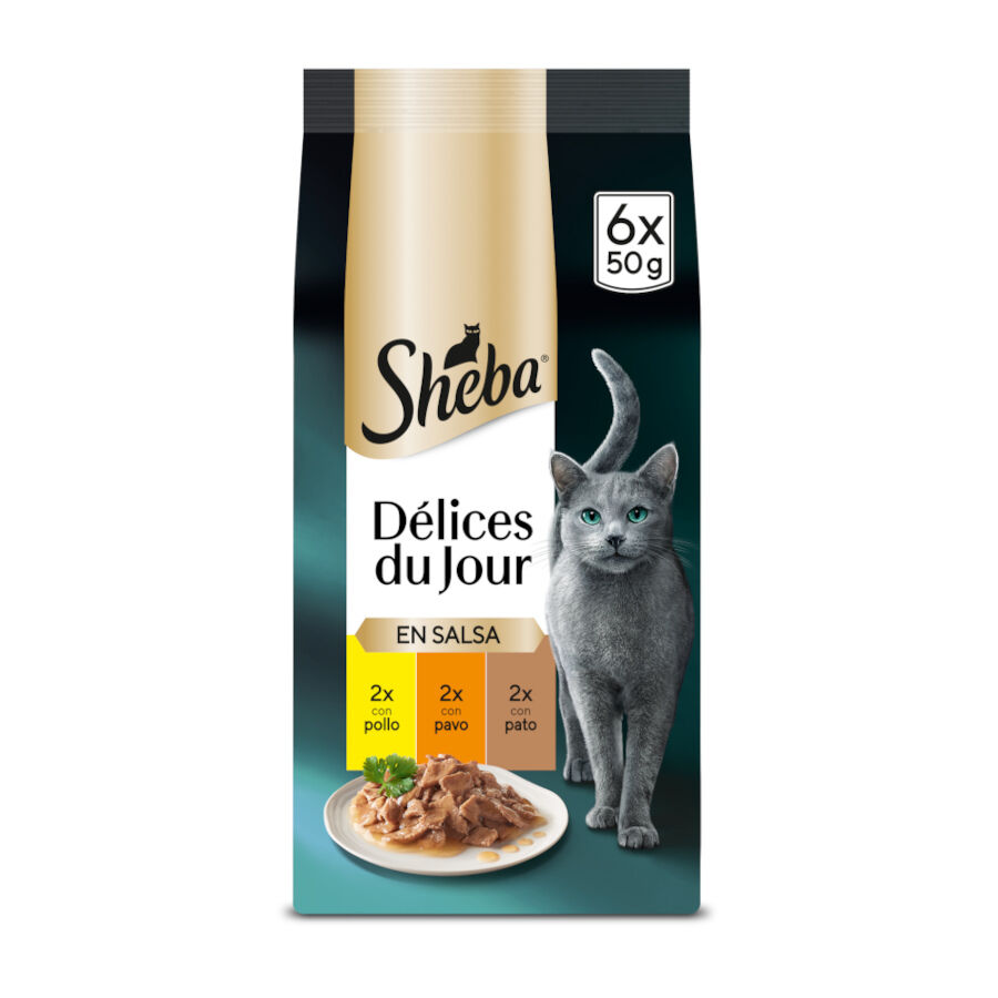 Sheba Délices du Jour en Salsa de pollo, pavo y pato alimento húmedo para gatos