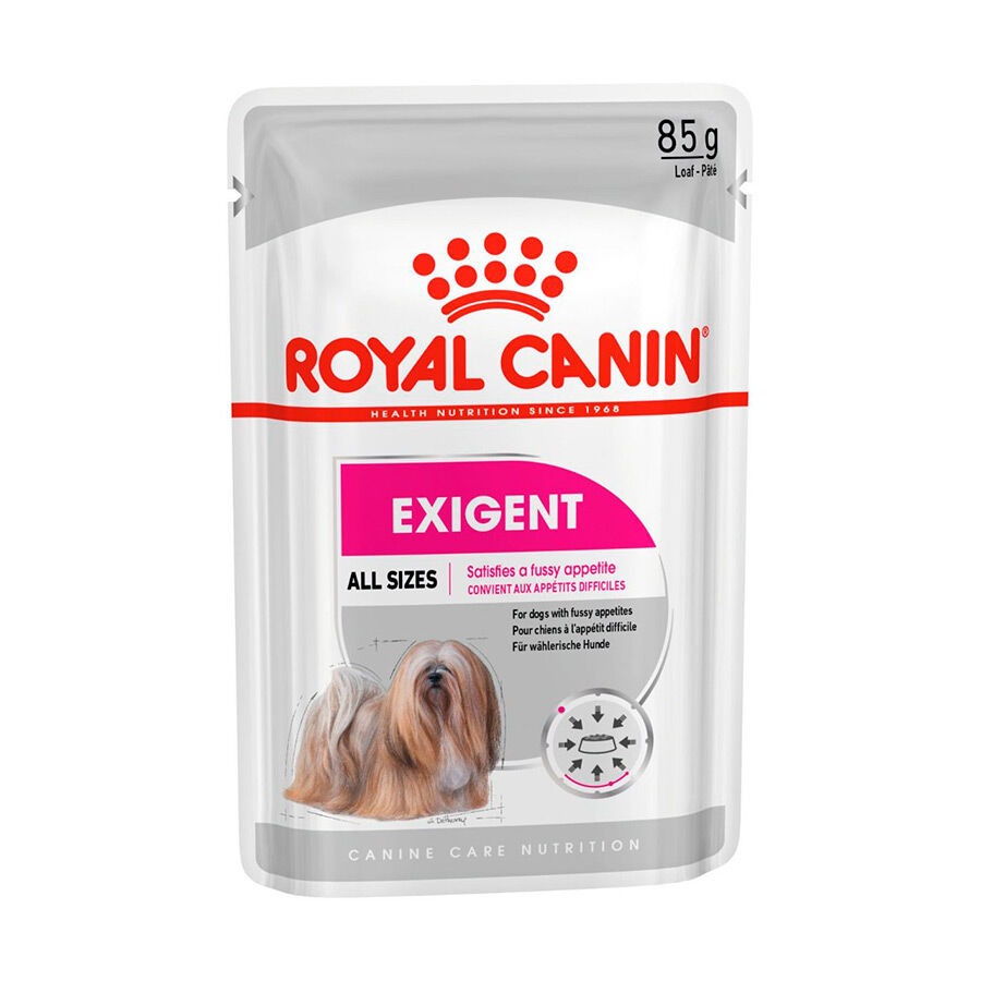 Royal Canin Exigent paté sobre para perros