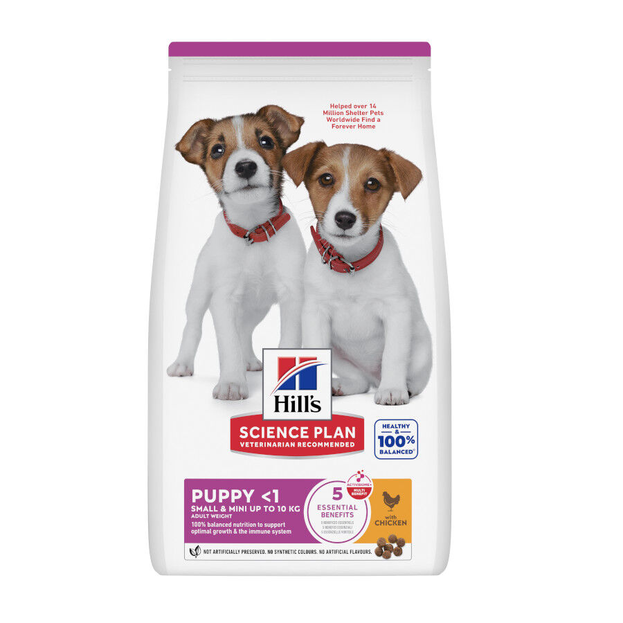 Hill's Science Plan Puppy Small y Mini Pollo Pienso para cachorros