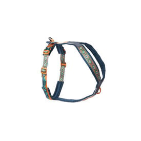 Non-stop Dogwear Arn&eacute;s Turquesa y Roble para perros