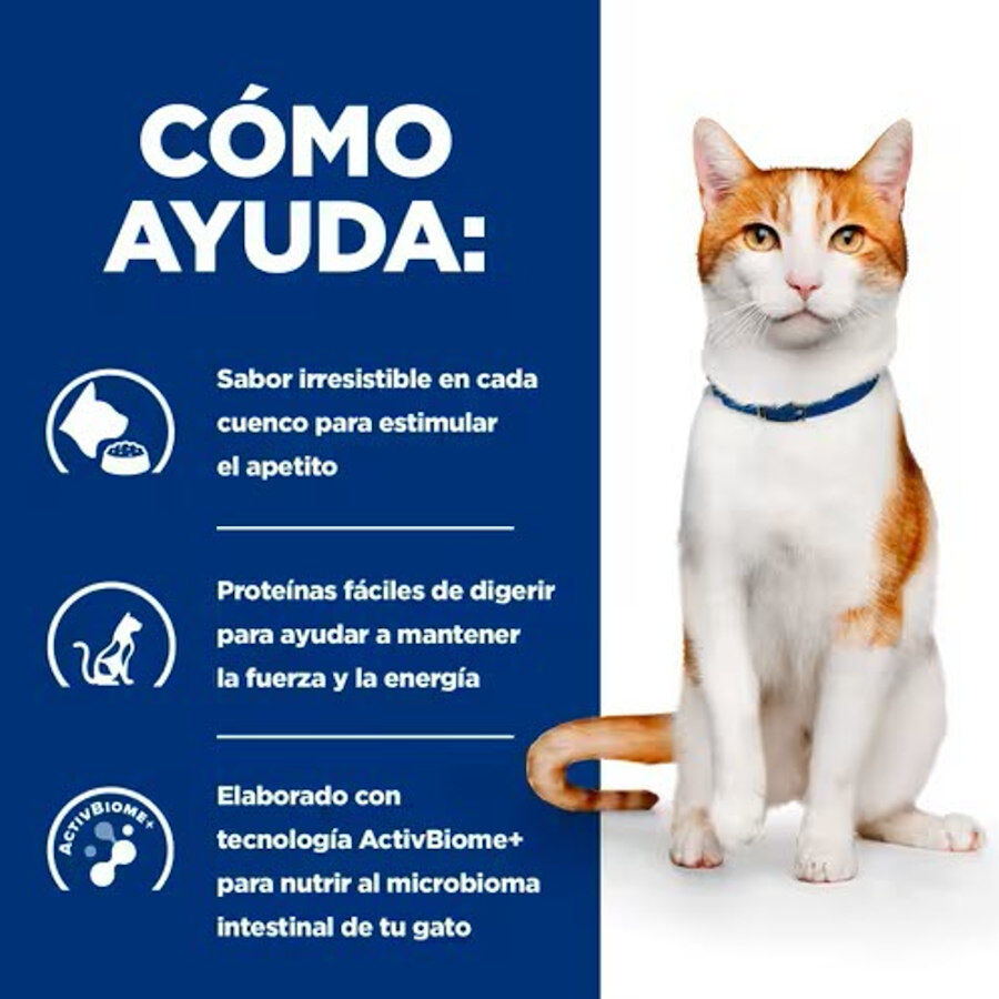 Hill's Prescription Diet ON-Care Pollo pienso para gatos thumbnail