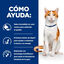 Hill's Prescription Diet ON-Care Pollo pienso para gatos, , large indicador imagen numero 2
