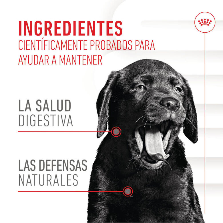 Royal Canin Immunity &amp; Digestion Chews Puppy Suplemento nutricional para perros thumbnail