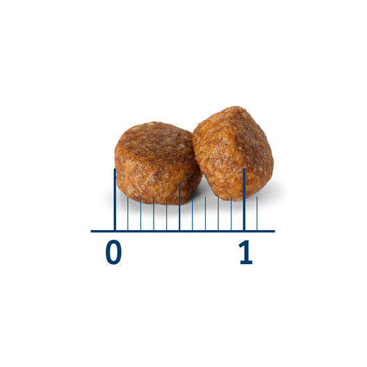 croqueta_perro_nath_puppy_mini.jpg image number null