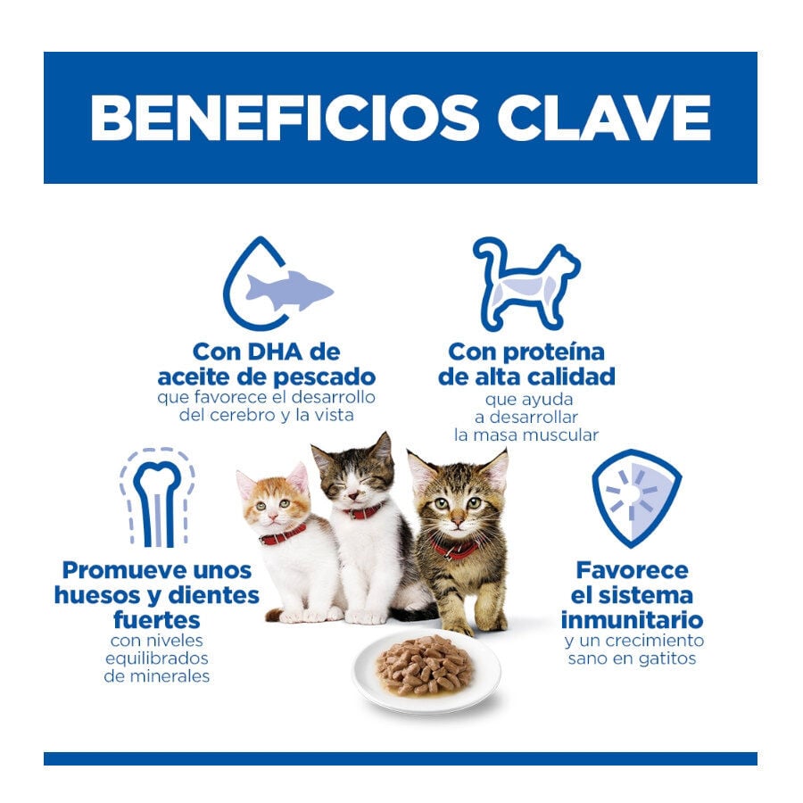 85 g Hill's Science Plan Kitten Pescado Azul sobre para gatos, , large Imagen numero 4