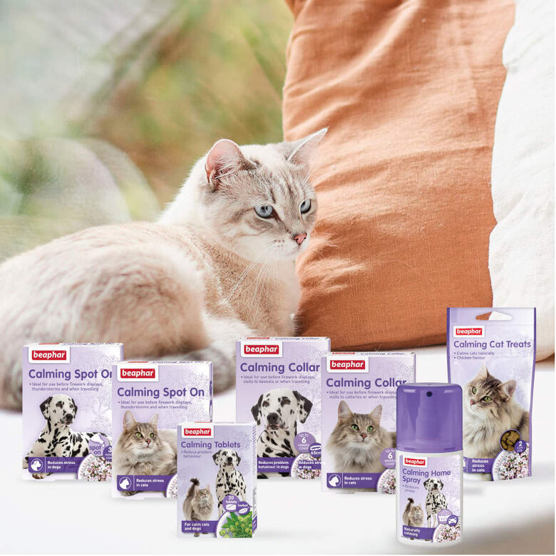 Beaphar Collar Relajante para gatos, , large image number null