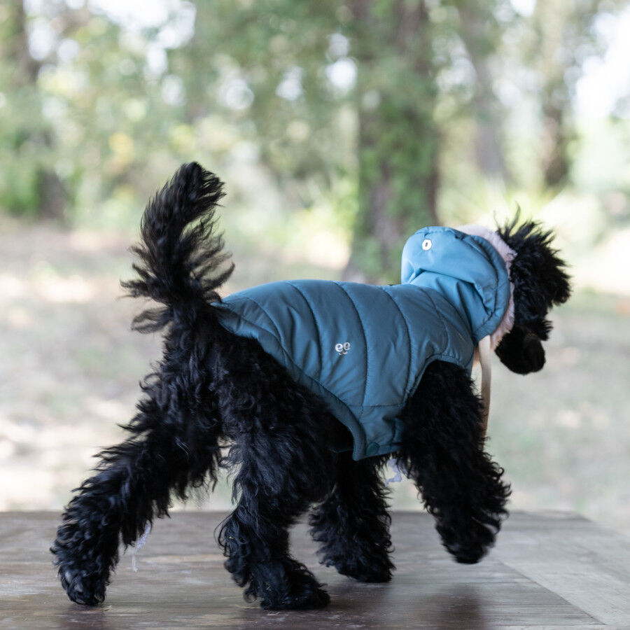Freedog Abrigo Impermeable Iceguard Azul Cielo para perros thumbnail