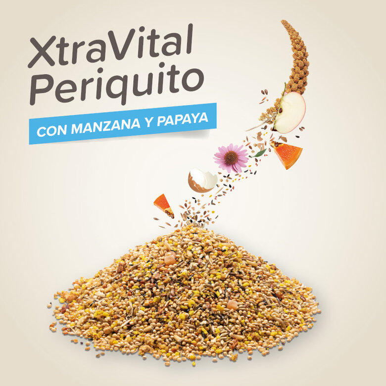 Beaphar XtraVital Premium Mixtura de Semillas para periquitos,  Imagen numero 3 Beaphar XtraVital Premium Mixtura de Semillas para periquitos, , large Imagen numero 3