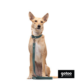 Gotoo Correa Biothane verde para perros