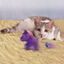 Kong Enchanted Buzzy Unicornio peluche para gatos, , large indicador imagen numero 2