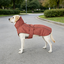 Gotoo Chaqueta Rosa para perros, , large indicador imagen numero 1