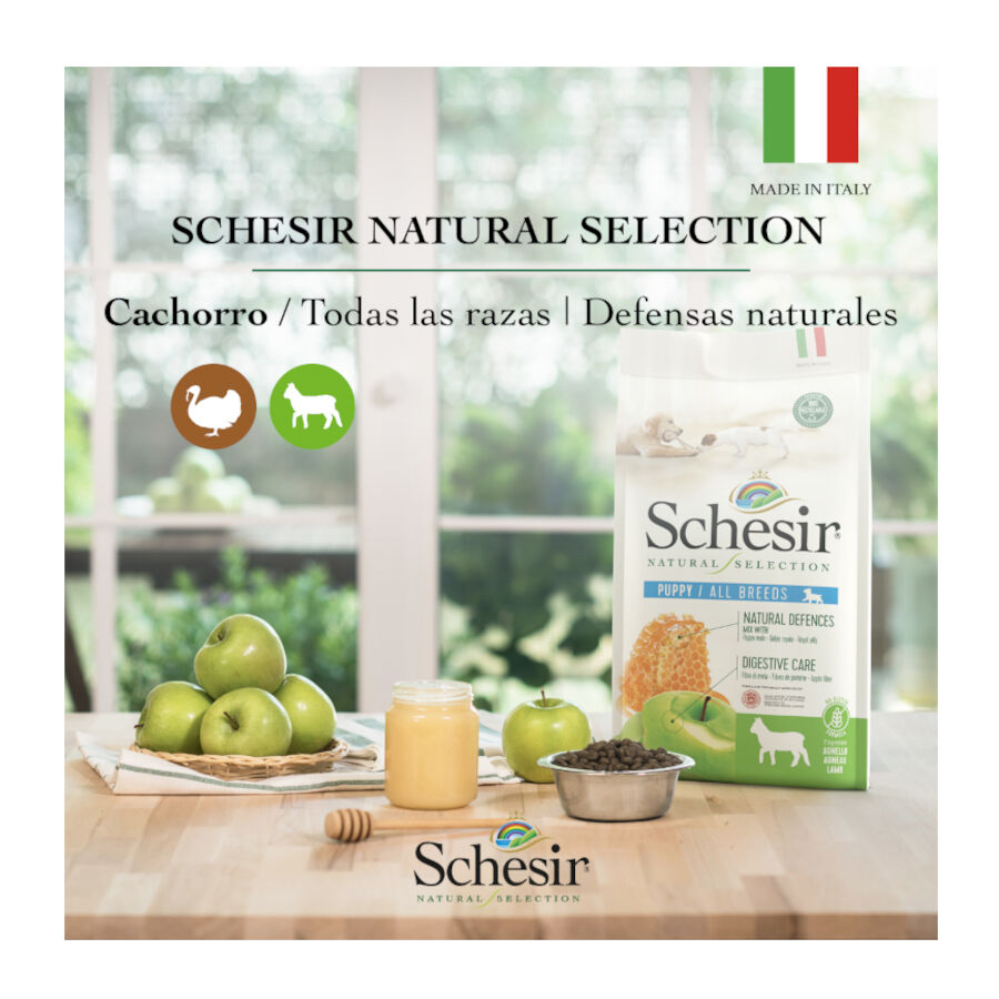 2.24 kg Schesir Puppy Natural Selection Cordero pienso , , large Imagen numero 4
