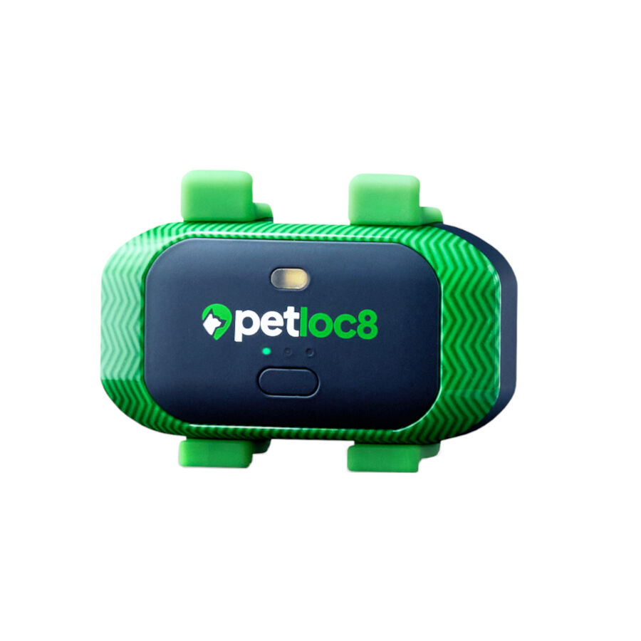 Tracktimo Localizaddor GPS Petloc8 4G para perros y gatos thumbnail