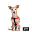 Gotoo Arnés reflectante de neopreno rojo para perros, , large indicador imagen numero 3