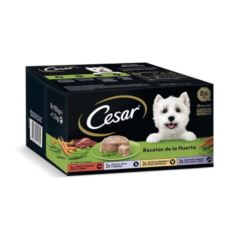 8 tarrinas x 150 g Cesar Recetas de la huerta Tarrina en Paté y Gelatina para Perros ,  Imagen numero 1 8 tarrinas x 150 g Cesar Recetas de la huerta Tarrina en Paté y Gelatina para Perros , , large Imagen numero 1