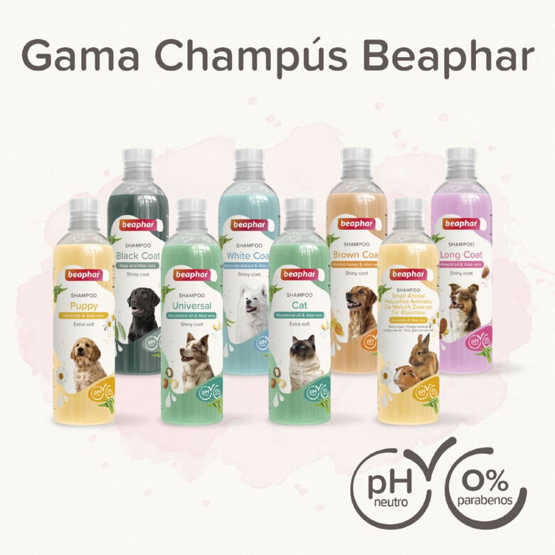 Beaphar Pelo Negro Champú para perros thumbnail