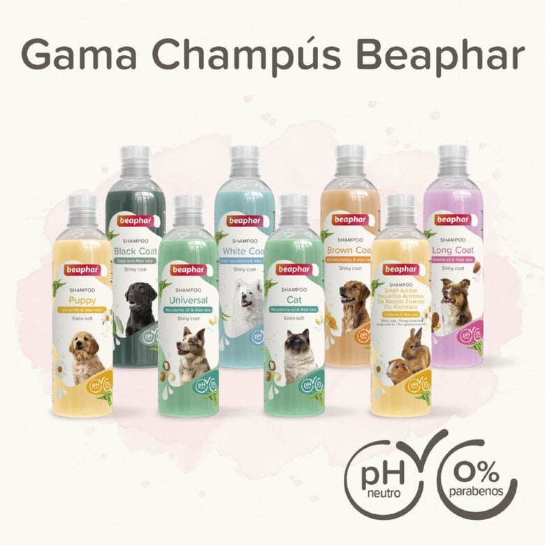 Beaphar Pelo Negro Champú para perros,  Imagen numero 7 Beaphar Pelo Negro Champú para perros, , large Imagen numero 7
