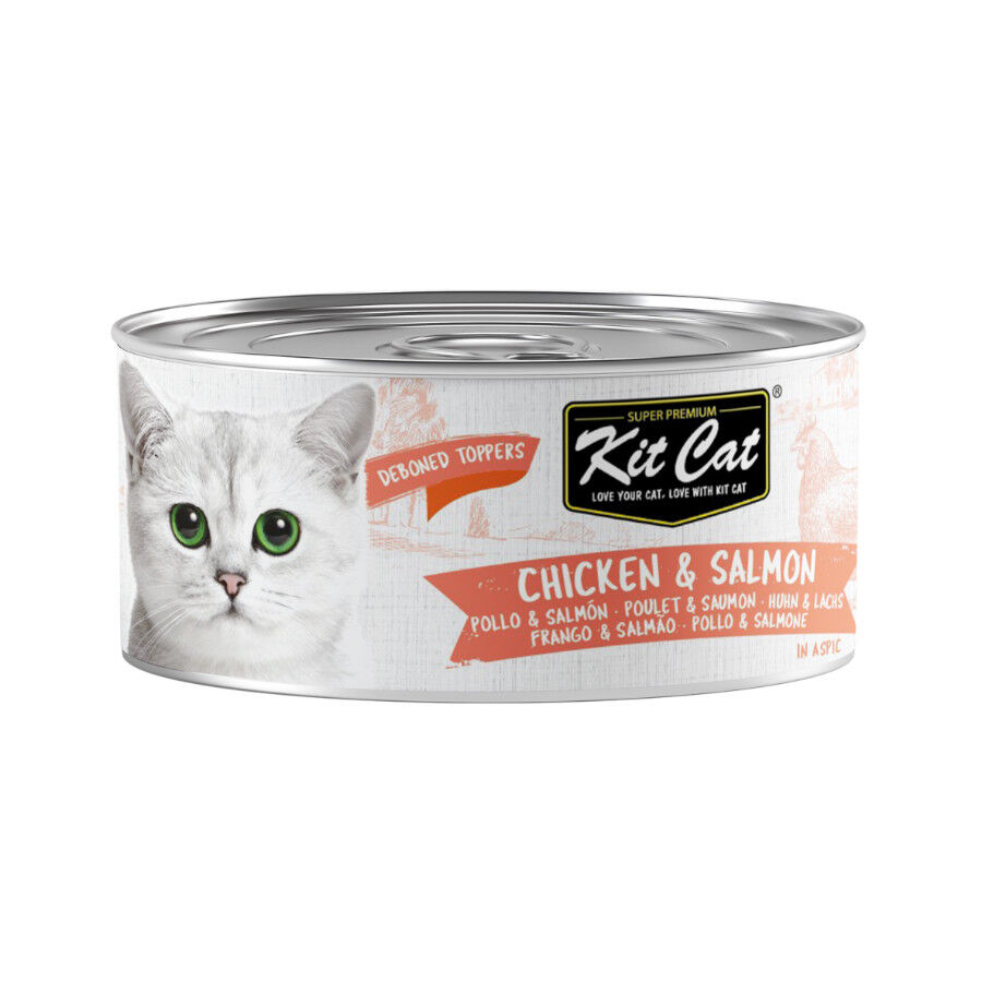 Kit Cat Pollo y Salm&oacute;n Gelatina Lata para gatos, , large Imagen numero 1