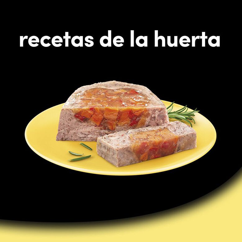 Cesar Recetas de la huerta Tarrina en Paté y Gelatina para Perros thumbnail