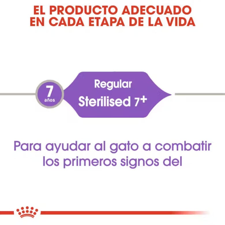 10 kg Royal Canin Sterilised 7+ pienso para gatos,  Imagen numero 4 10 kg Royal Canin Sterilised 7+ pienso para gatos, , large Imagen numero 4