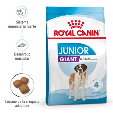 Royal Canin Junior Giant pienso para perros 