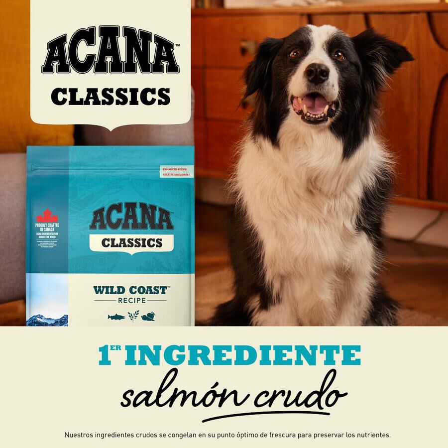 Acana Classics Wild Coast Pescado pienso para perros thumbnail