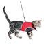 Trixie Soft arnés para gatos acolchado con correa, , large indicador imagen numero 1